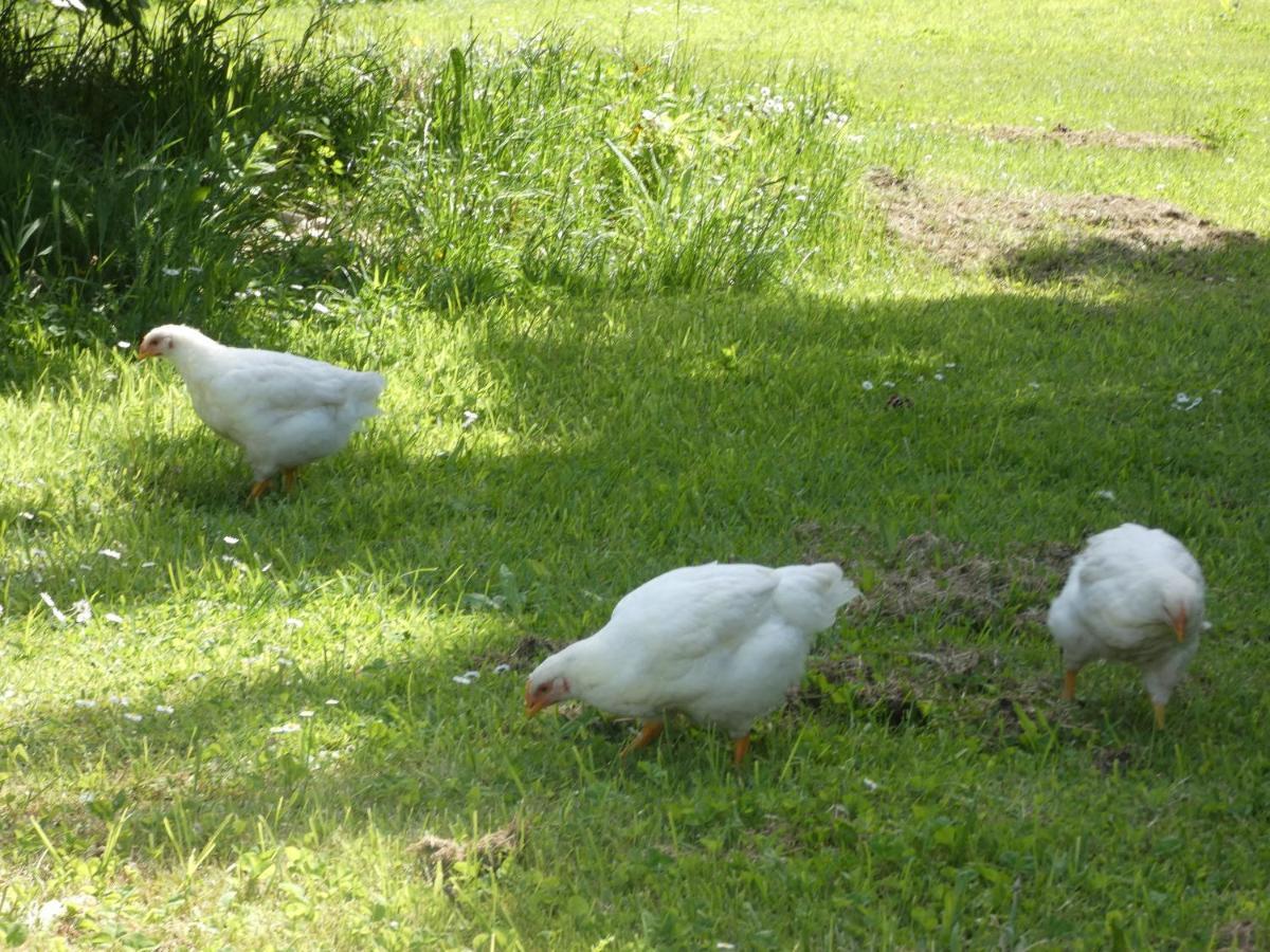 Le De La Ferme Feugere Barbeville
