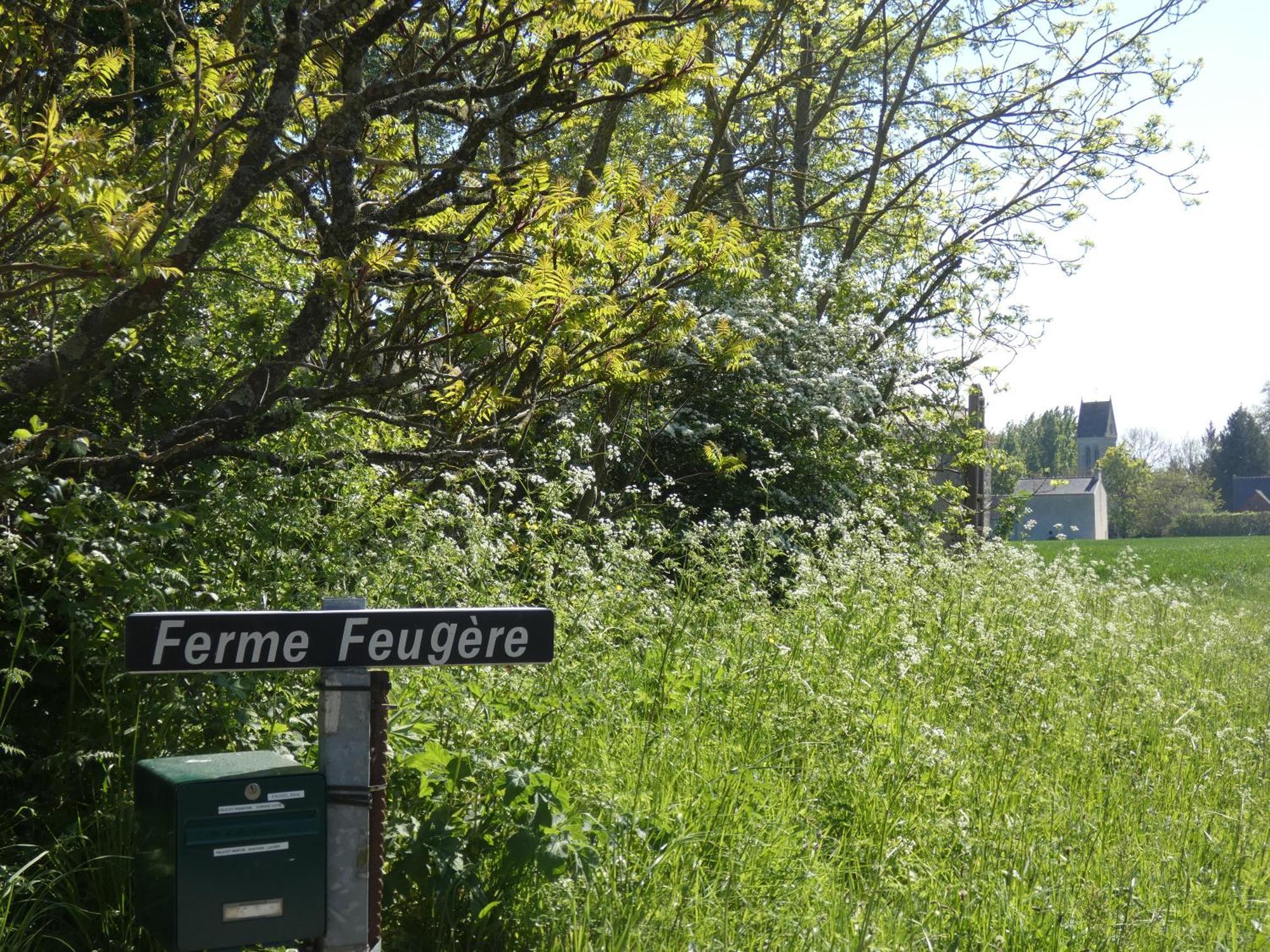 Le De La Ferme Feugere Ferienhaus